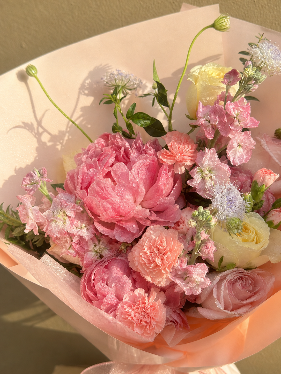 Peony Celebration